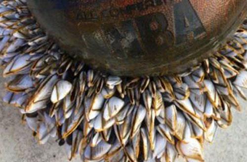 ‘星空综合’无机硅化物行业推进八项任务(图4) 星空·综合体育