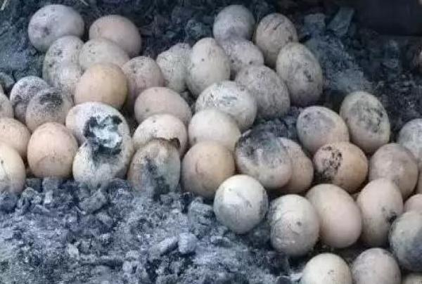 ‘星空综合’无机硅化物行业推进八项任务(图3) 星空综合