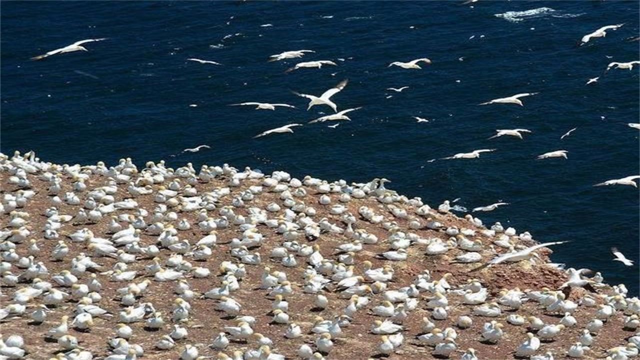 著名说唱歌手遭联盟正告 G1和帕金斯互喷渣滓话“星空·综合体育”(图2) 星空·综合体育