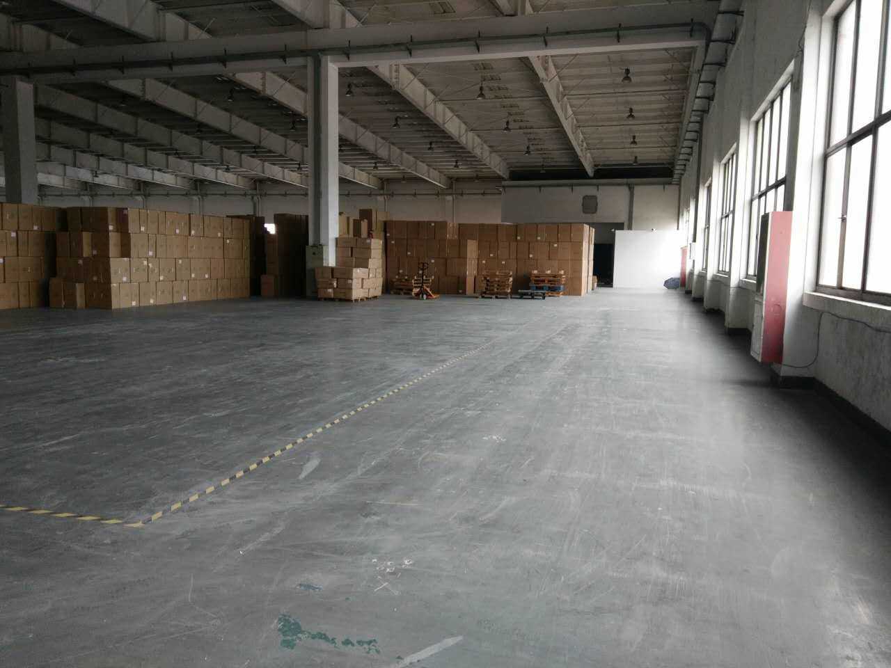 星空综合_沙维亚古斯伤缺世界杯(图2) 星空综合