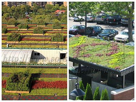 “星空·综合体育”2014年度D3自然系统设计竞赛结果揭晓(图2) 星空综合