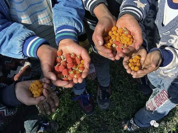 拉塞尔帮了全队! 篮网争脸!:星空·综合体育(图3) 星空·综合体育