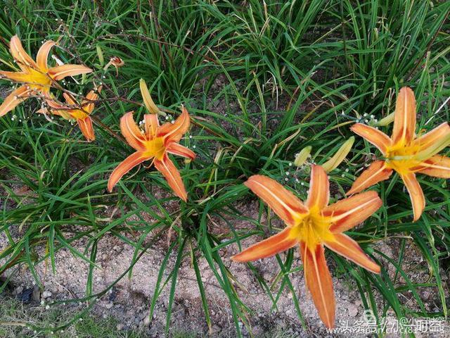 台达永续之环荣获国际建筑奖A+Awards-星空·综合体育(图4) 星空·综合体育