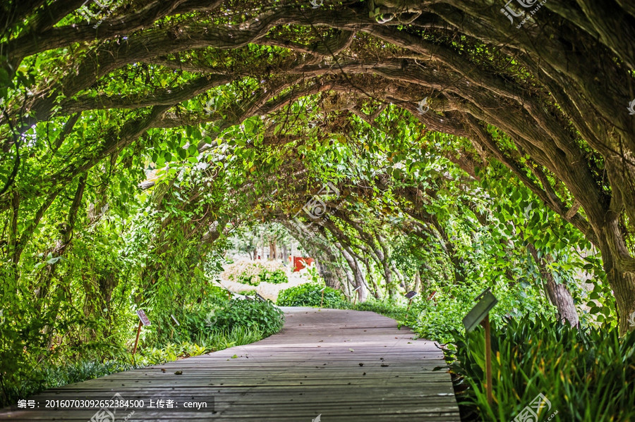星空·综合体育-20日NBA:太阳面试特里亚诺 奥多姆盼能重返赛场(图1) 星空·综合体育