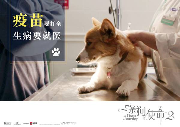 国内首次实行LNG罐箱江海联运‘星空综合’(图1) 星空综合