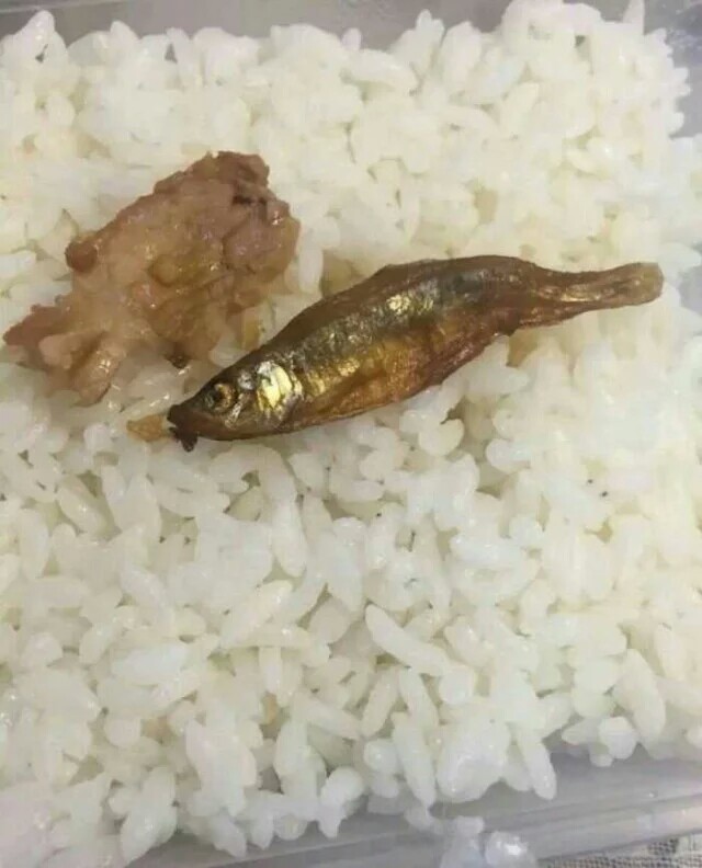 星空·综合体育-半场战报:灯泡低迷合打13铁 火箭55-59森林狼(图3) 星空·综合体育