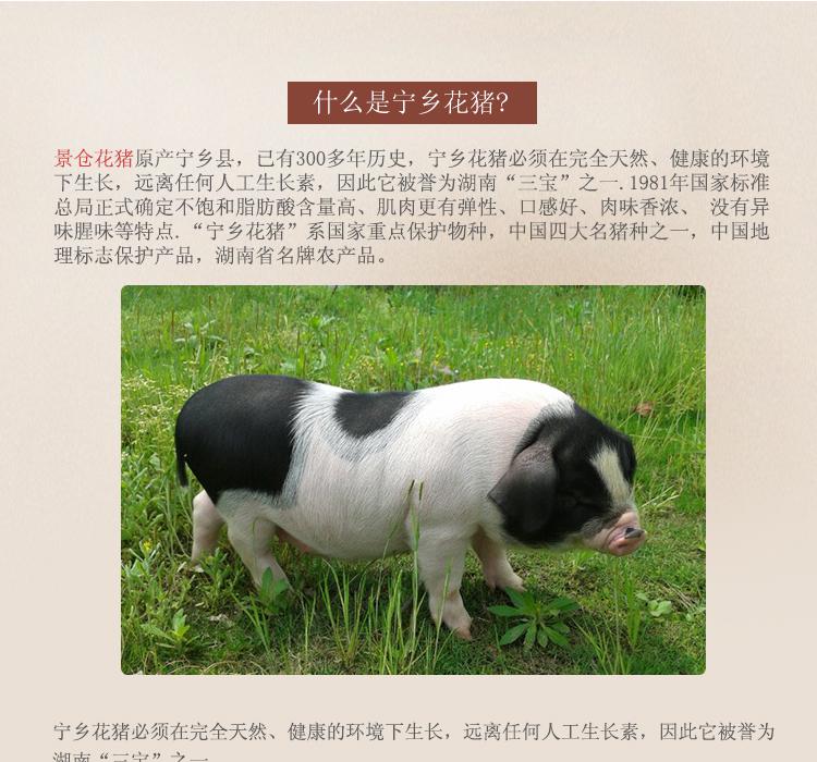 星空·综合体育:卡佩拉哈登延续2次空中连线 精彩空接打乱懦夫(图1) 星空综合