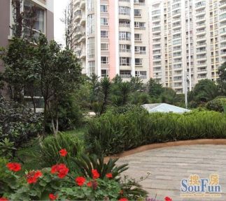 星空综合_特朗普考虑向猛龙发出造访白宫邀请(图3) 星空综合