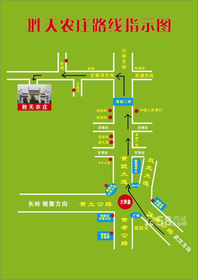 星空综合_特朗普考虑向猛龙发出造访白宫邀请(图4) 星空综合