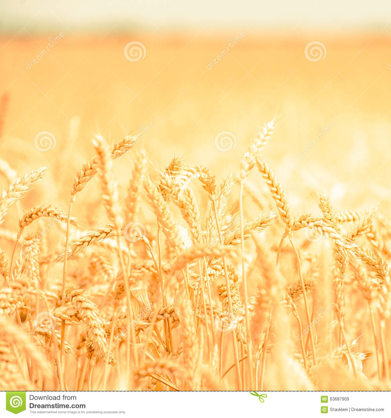 27日NBA:小牛欲接手白边 东决G6网络收视破千万|星空综合(图3) 星空·综合体育