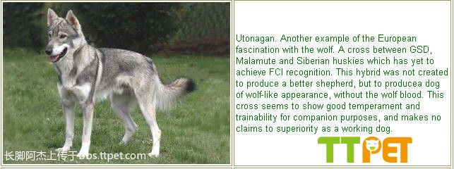 ‘星空·综合体育’正丁醇价格重心下移库存有所上升(图2) 星空·综合体育