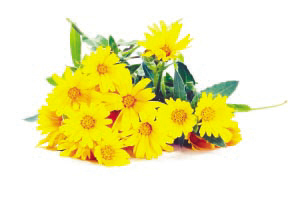 7月4日邯郸钢材市场价格行情_星空·综合体育(图1) 星空·综合体育