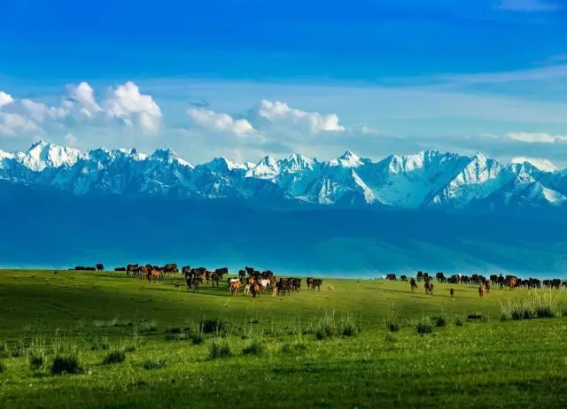 【星空·综合体育】青岛石化实行公共安全工作升级管理(图3) 星空综合