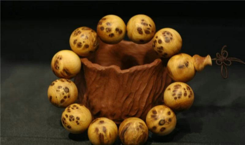 星空·综合体育