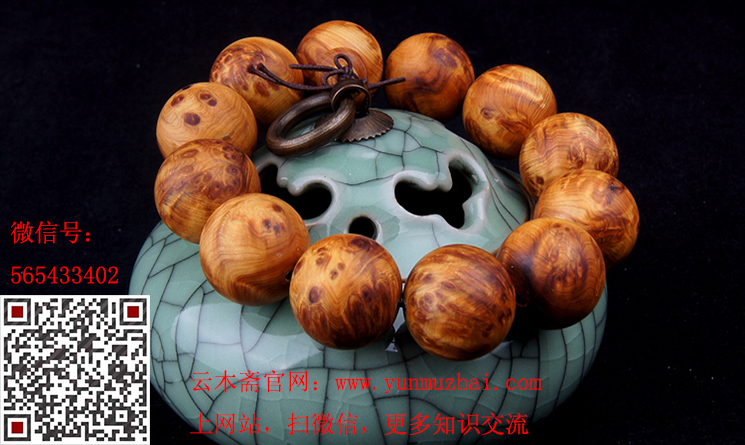 星空·综合体育