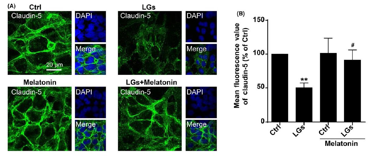 星空综合:德黑兰“圣城清真寺”改造概念方案公布(图4) 星空综合
