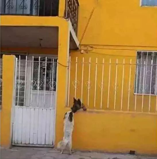 福斯特建筑事务所设计纽约曼哈顿高端住宅楼-星空综合(图2) 星空综合