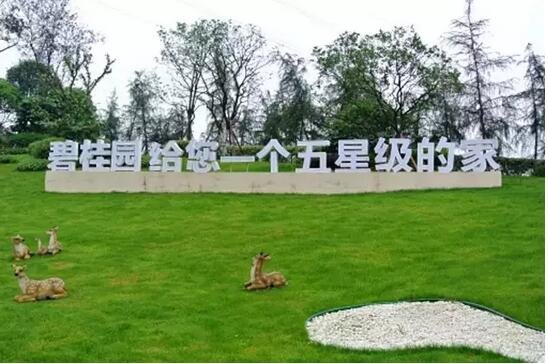 星空综合_德章泰•穆雷愿永远留在马刺(图4) 星空综合