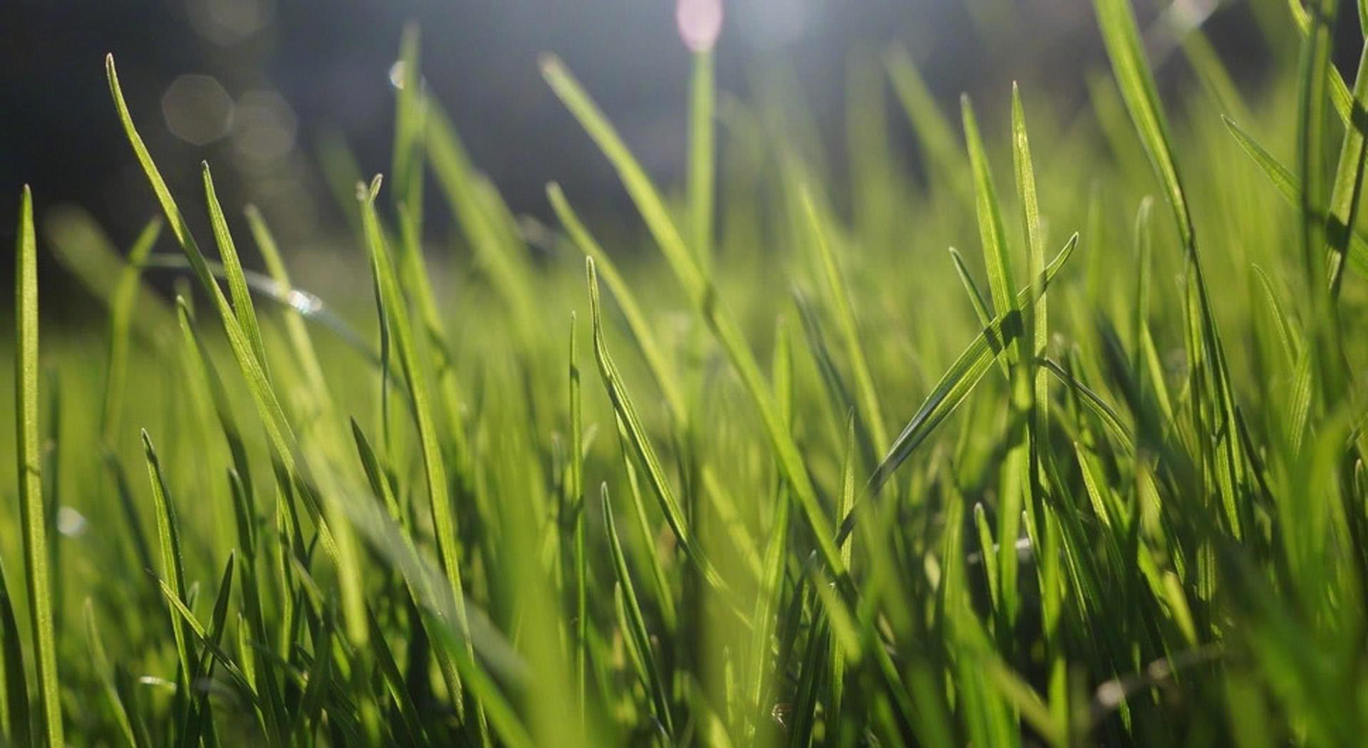 星空·综合体育