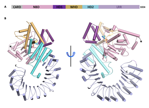 星空·综合体育
