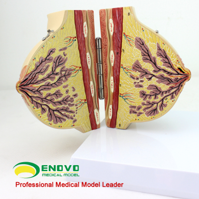 福加尔透露湖人新赛季升级防守:星空·综合体育(图1) 星空综合