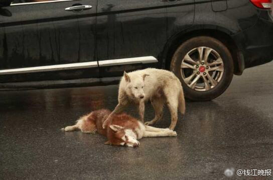 星空·综合体育