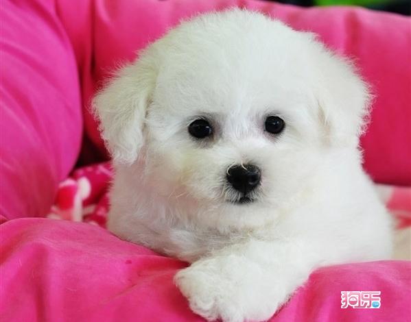 星空·综合体育