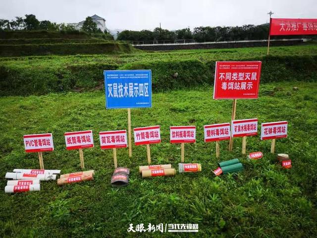 星空综合-31日NBA:施罗德赛季报销 哈里斯还将要出席一周(图1) 星空·综合体育