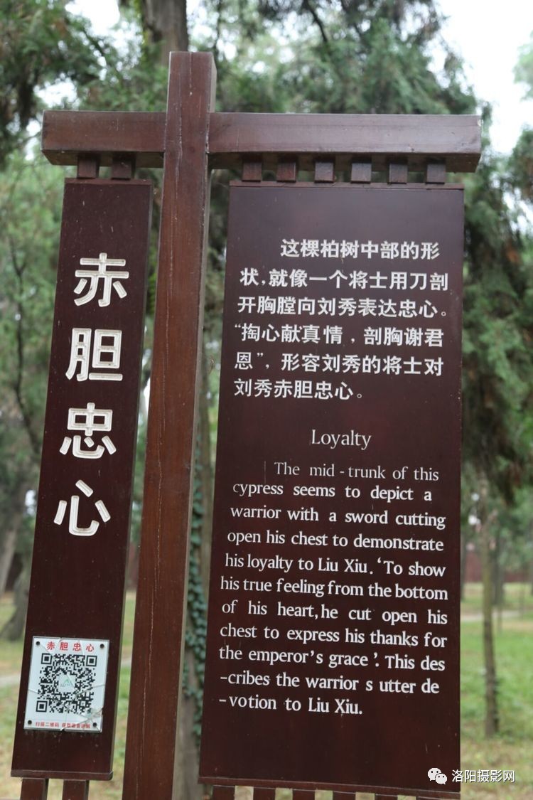 星空·综合体育