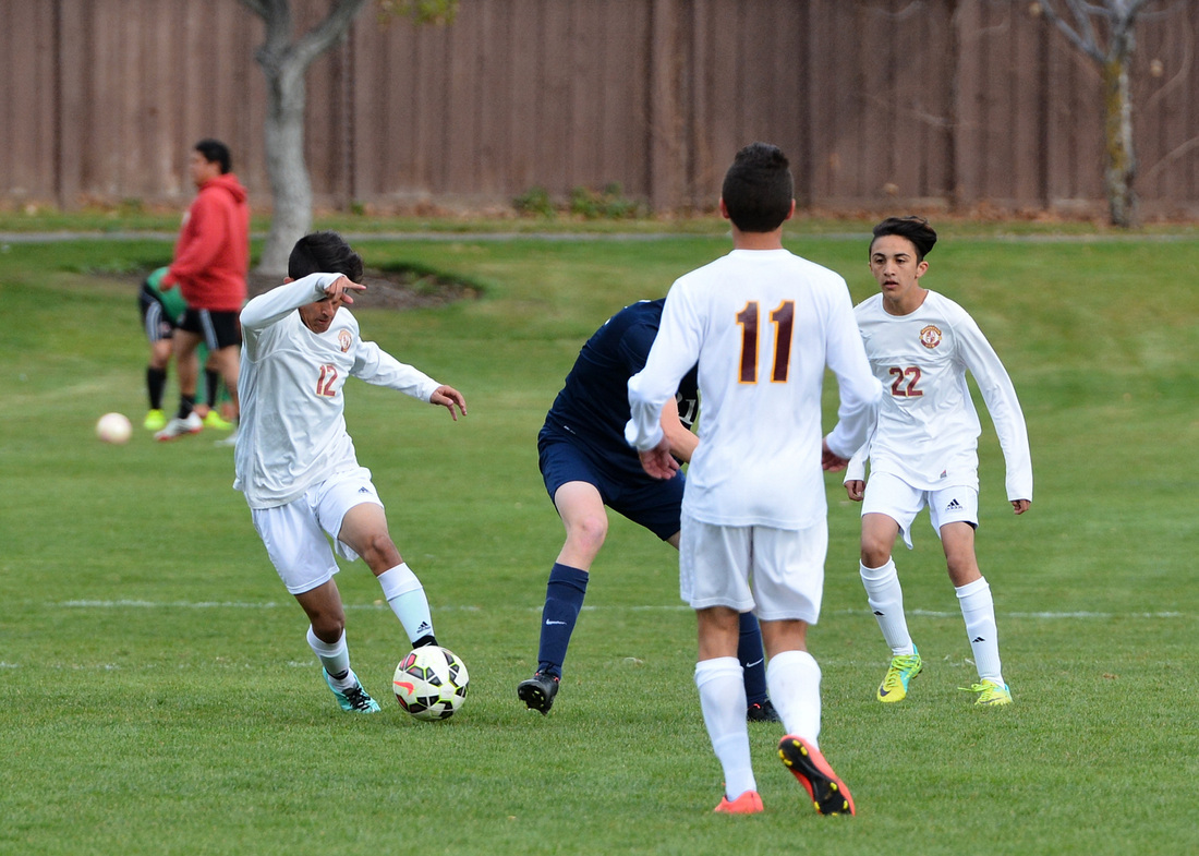 星空综合_纯碱价格下跌仍然不改供需紧平衡状态(图4) 星空综合