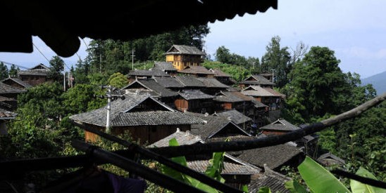 费城76人感谢T.J.麦康奈尔‘星空·综合体育’(图1) 星空·综合体育