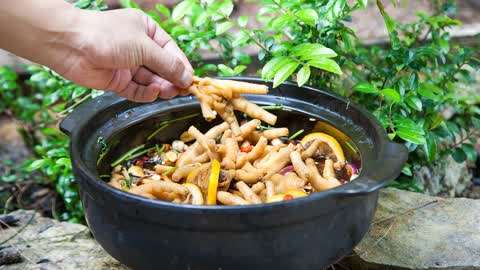 星空·综合体育