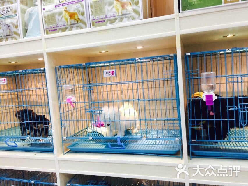 星空·综合体育