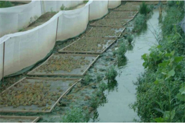 绿色环保型农药成市场亮点‘星空·综合体育’(图3) 星空综合