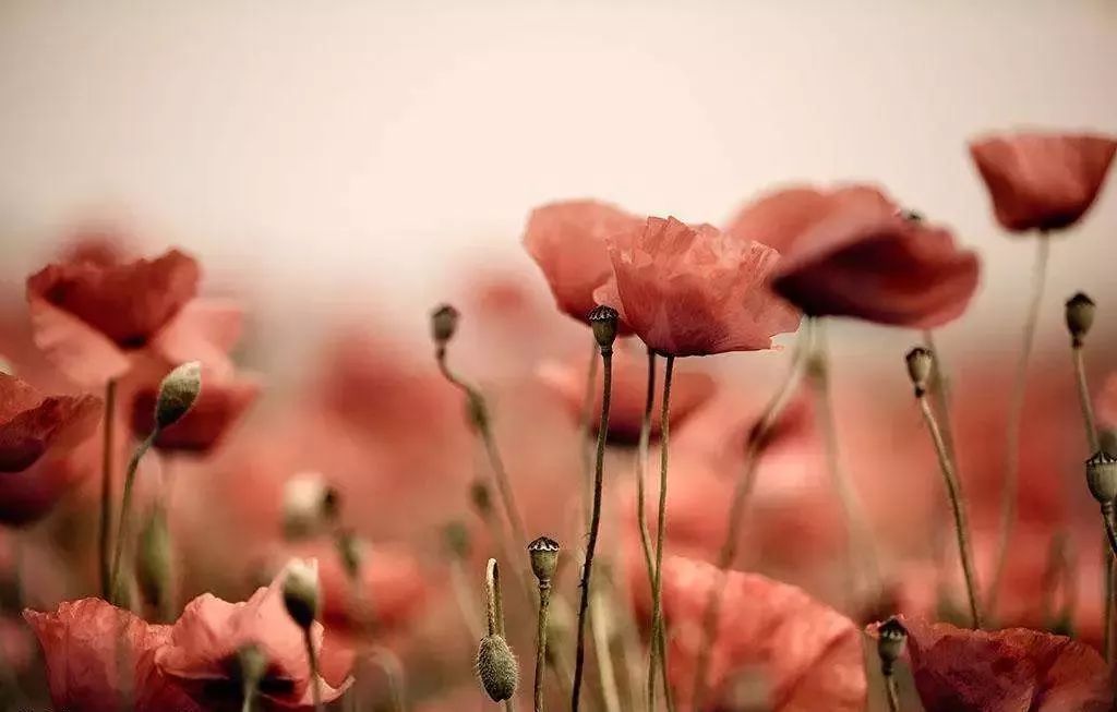 星空·综合体育