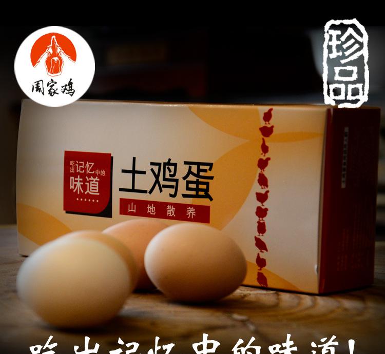 猛龙主场击败了步行者斩获16分大胜,最终夺回联盟第一:星空·综合体育(图1) 星空综合