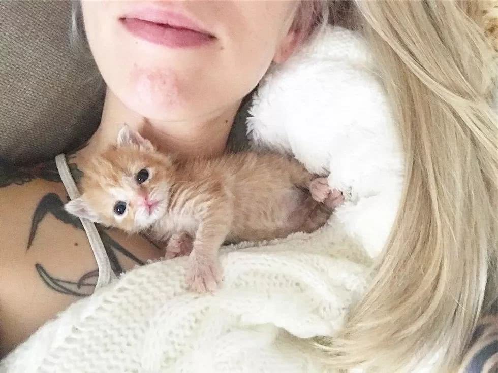 丹麦文化中心“城市自然”研讨会在京召开_星空综合(图1) 星空综合