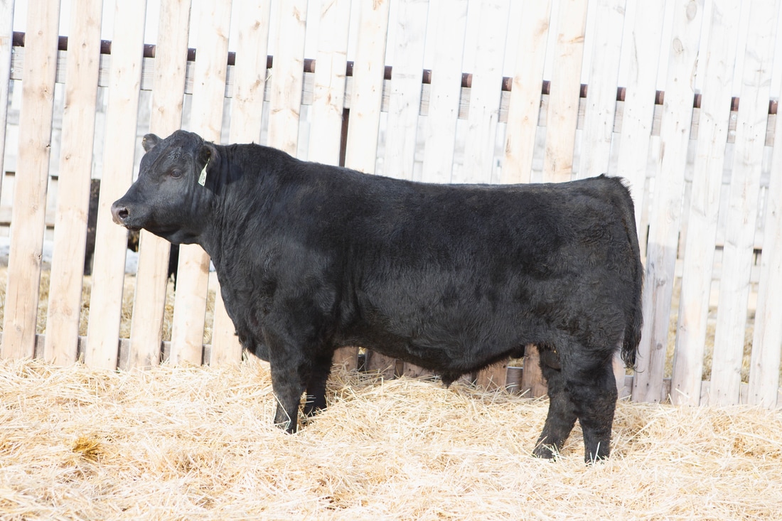 【星空·综合体育】爆炸新闻: 巴特勒和唐斯只能留一个,NBA内斗水火不容(图4) 星空综合