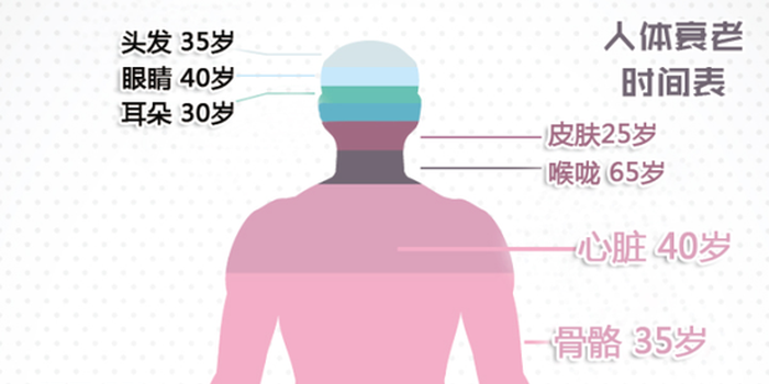 星空综合:NBA球员工会管理层换届(图3) 星空·综合体育