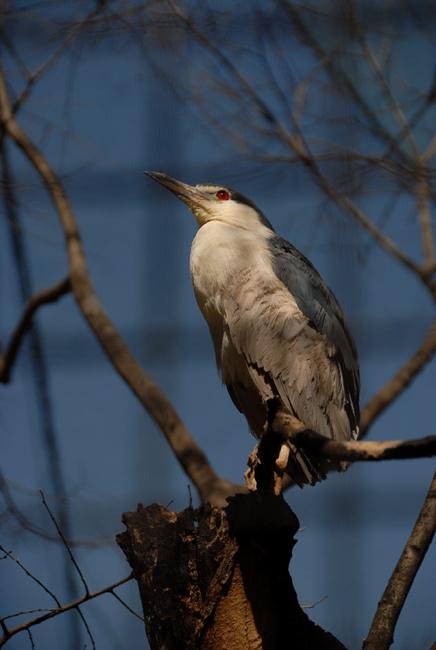 星空·综合体育