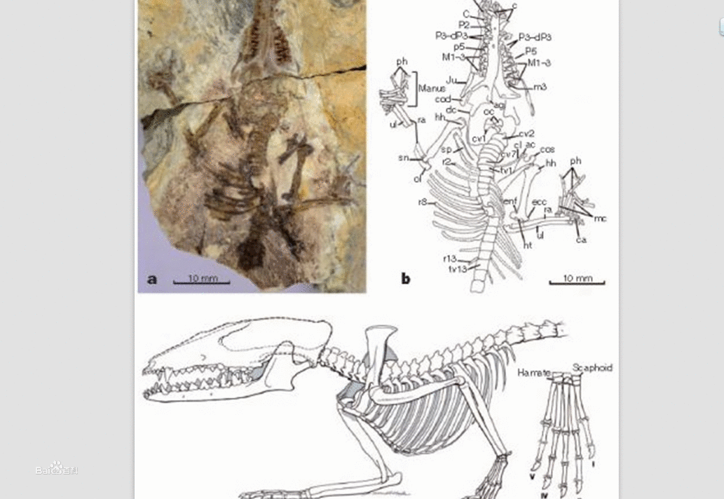 星空·综合体育