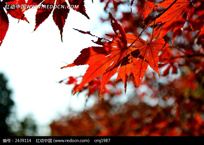 星空·综合体育